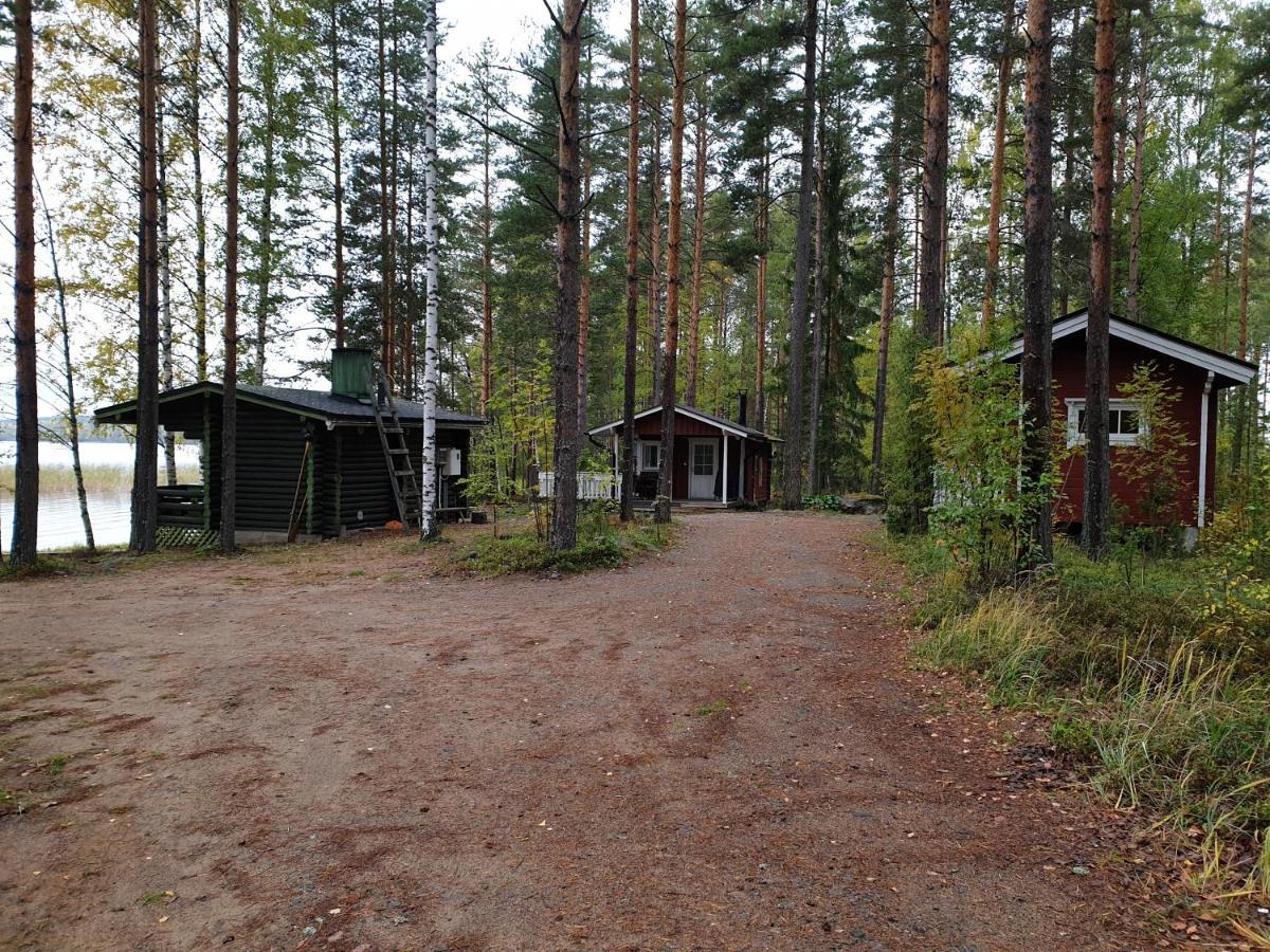Nestorin Maja Villa Puumala Kültér fotó